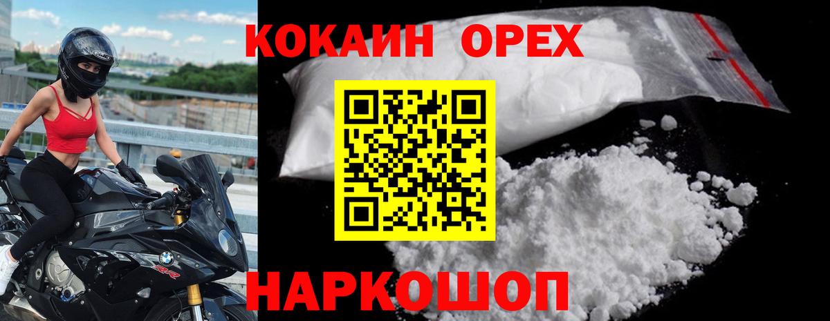 COCAIN Эквадор Гусев