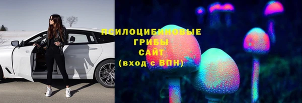 ПСИЛОЦИБИНОВЫЕ ГРИБЫ Белокуриха
