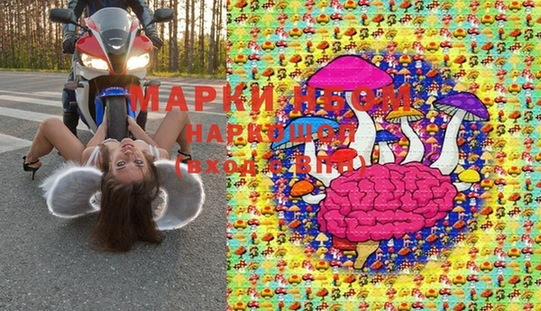 ПСИЛОЦИБИНОВЫЕ ГРИБЫ Белокуриха