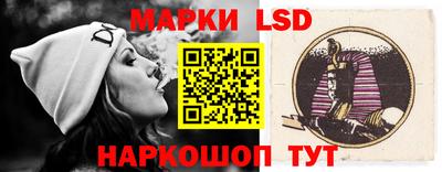 стаф Гатчина