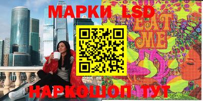 стаф Гатчина