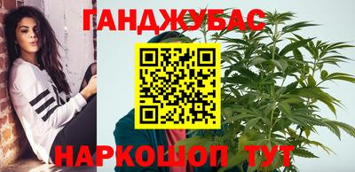 стаф Гатчина