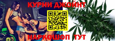 стаф Гатчина