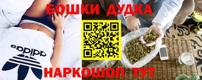 стаф Гатчина