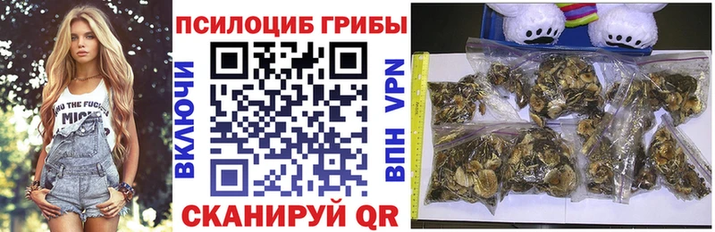 Псилоцибиновые грибы MAGIC MUSHROOMS  Гусев 