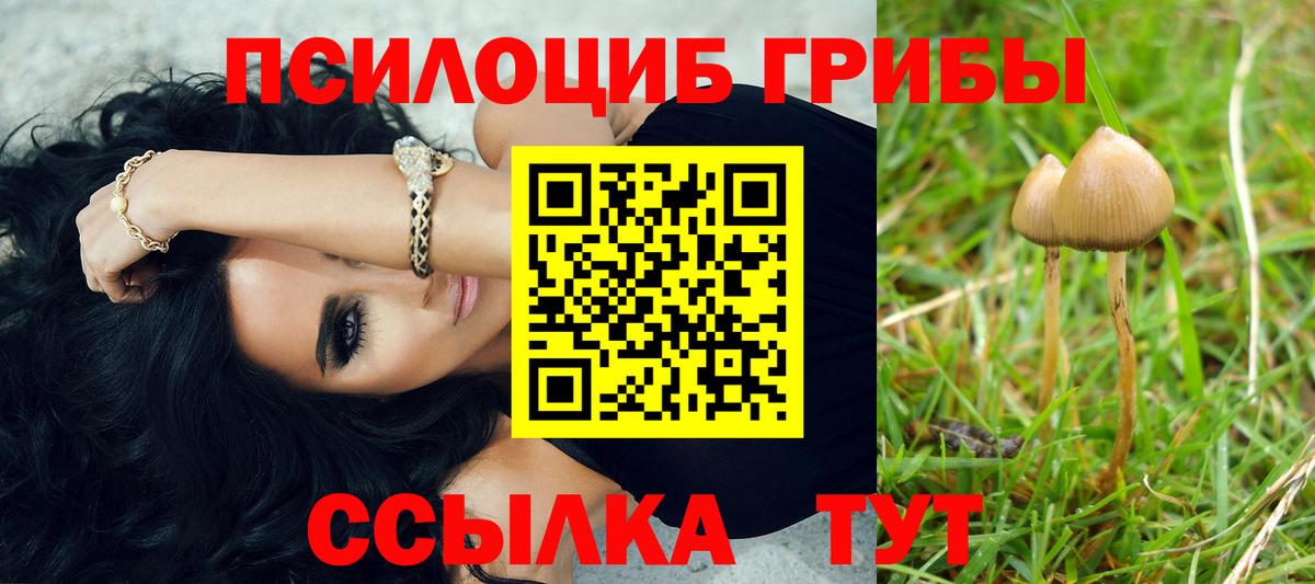 Псилоцибиновые грибы ЛСД Гусев