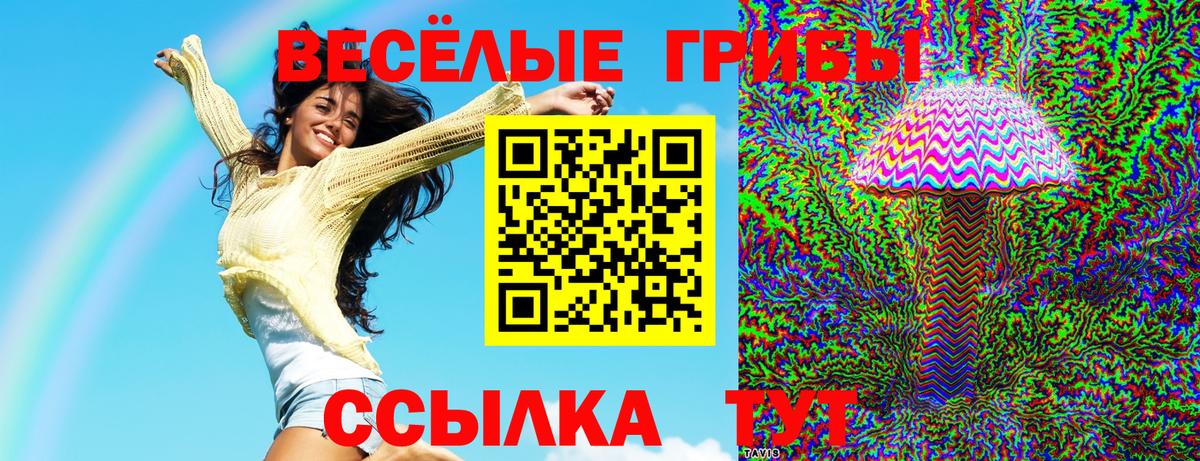 Псилоцибиновые грибы Magic Shrooms Гусев