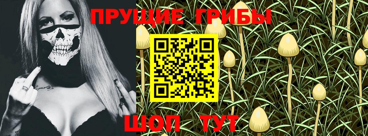 Галлюциногенные грибы Magic Shrooms  Псилоцибиновые грибы Magic Shrooms  Гусев 