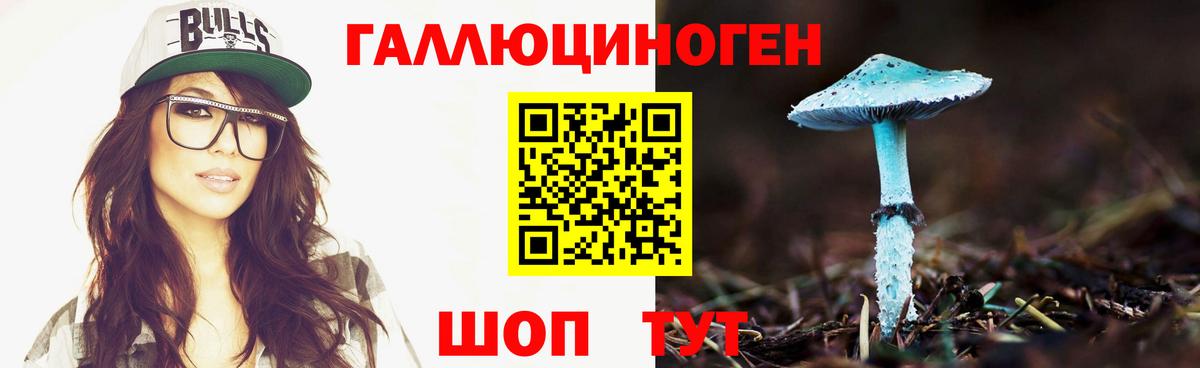 Галлюциногенные грибы ЛСД  Псилоцибиновые грибы MAGIC MUSHROOMS  наркотики  Вход с VPN  Гусев 